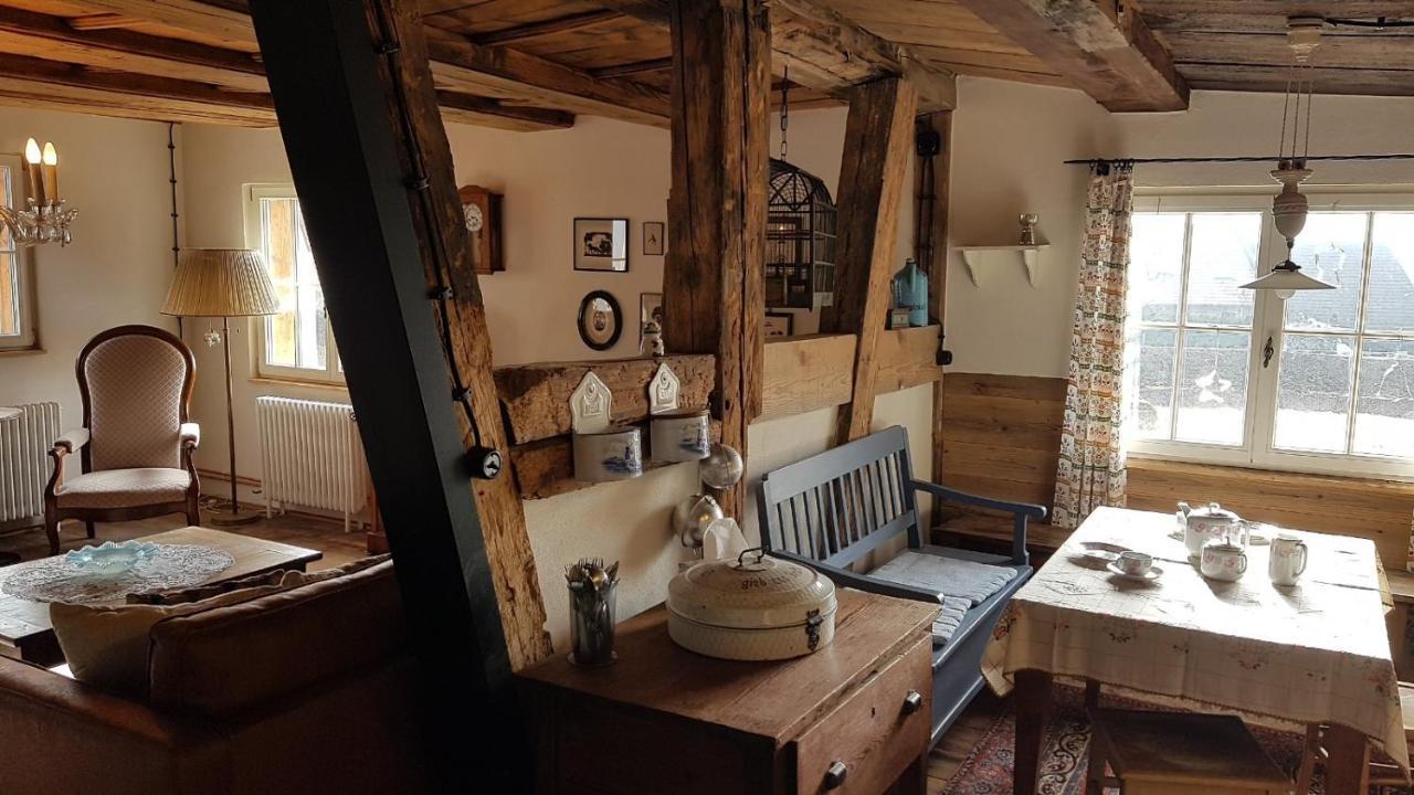 Historisches Fachwerkhaus "Hoher Hirschen" - Stilvolles Studio Und Museales Apartment Mit Romantischem Hof Und Garten Bodman-Ludwigshafen Ngoại thất bức ảnh
