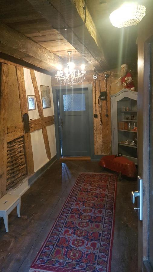 Historisches Fachwerkhaus "Hoher Hirschen" - Stilvolles Studio Und Museales Apartment Mit Romantischem Hof Und Garten Bodman-Ludwigshafen Ngoại thất bức ảnh